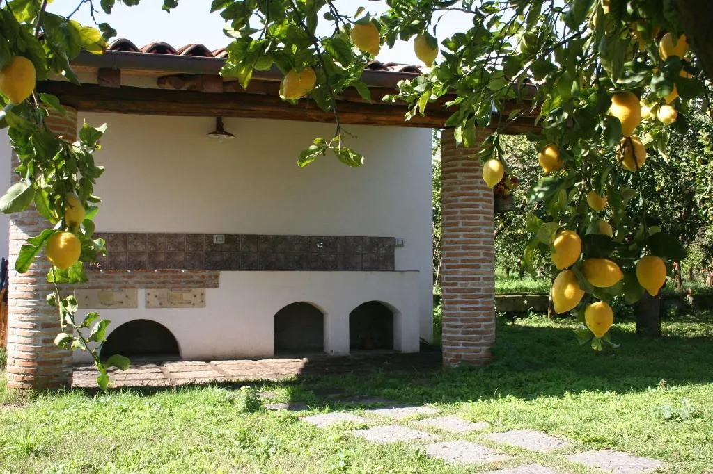 Sports and Entertainment, Galea, Catania