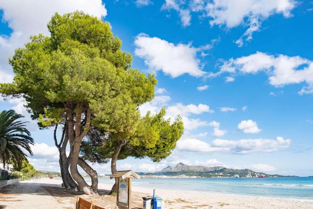 Beach, Eix Lagotel Holiday Resort, Majorca