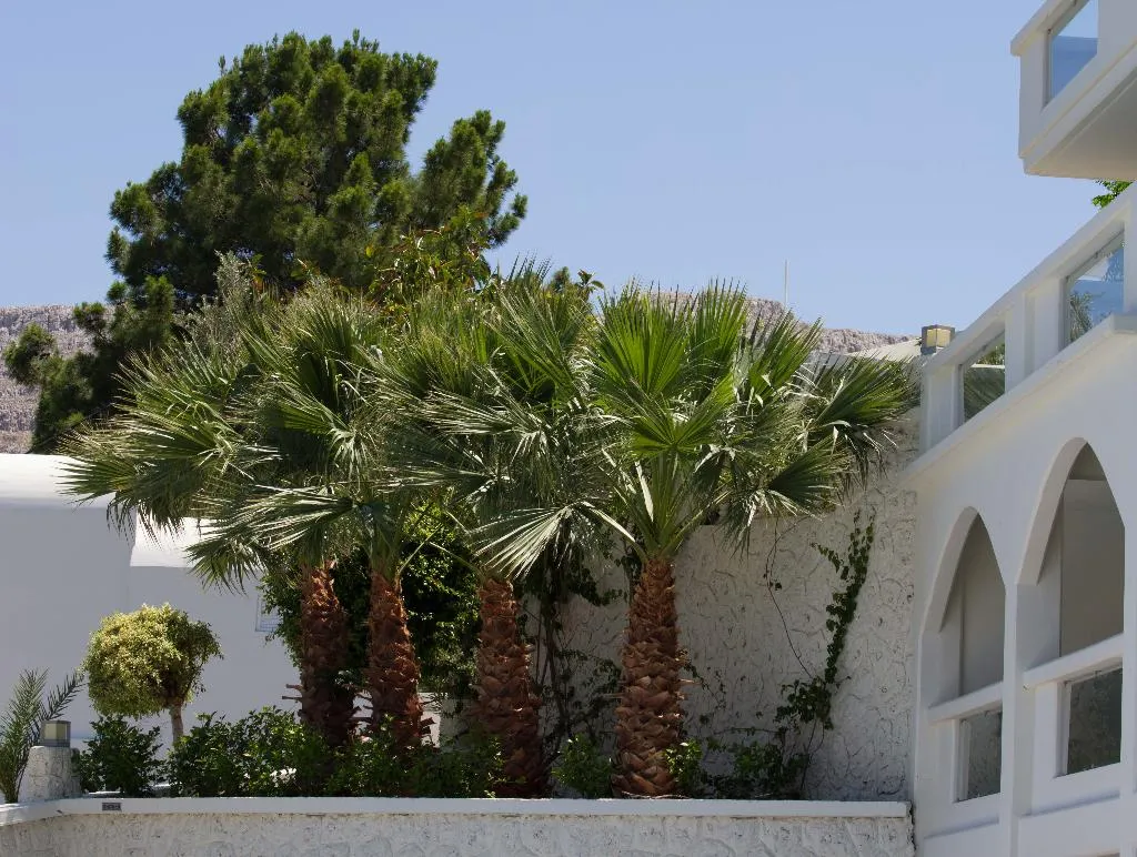 General view, Lindos White hotel & suites, Rhodes