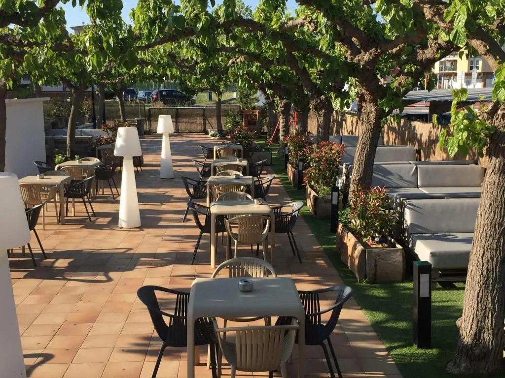 Bar, Solfina, Barcelona