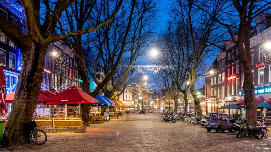 General view, The Bolster, Amsterdam
