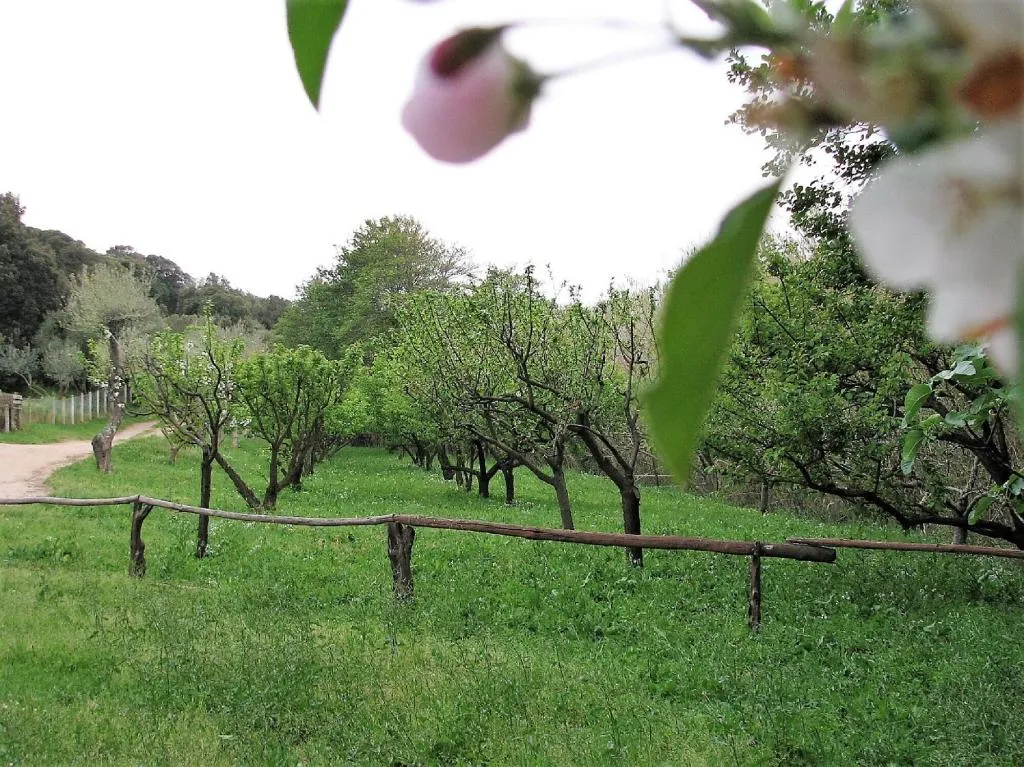 General view, Agriturismo Lu Branu, Olbia