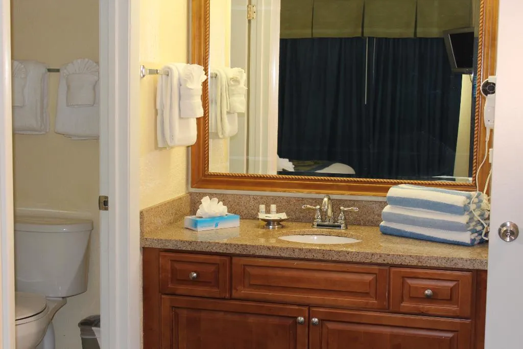APARTMENT ONE BEDROOM Room, Blue Tree Resort, Orlando