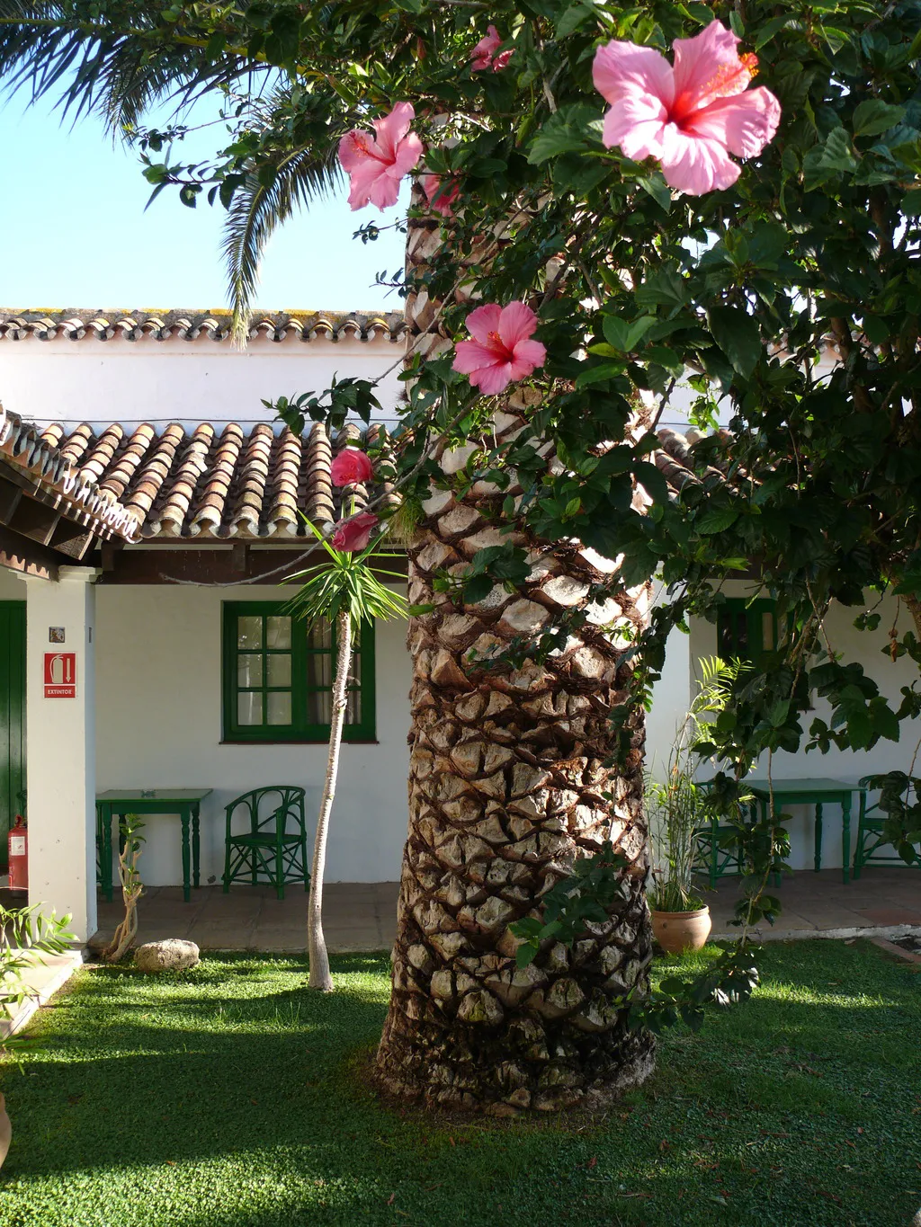 Terrace, Cortijo Las Piñas, Costa De La Luz