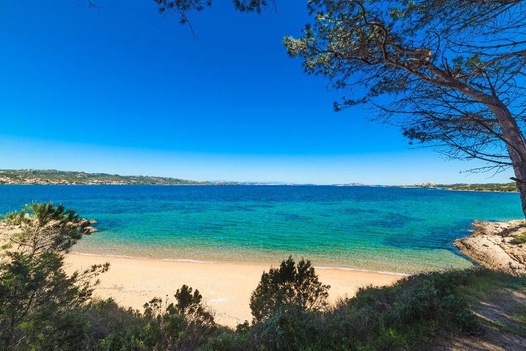 Beach, Residence Ea Bianca, Olbia