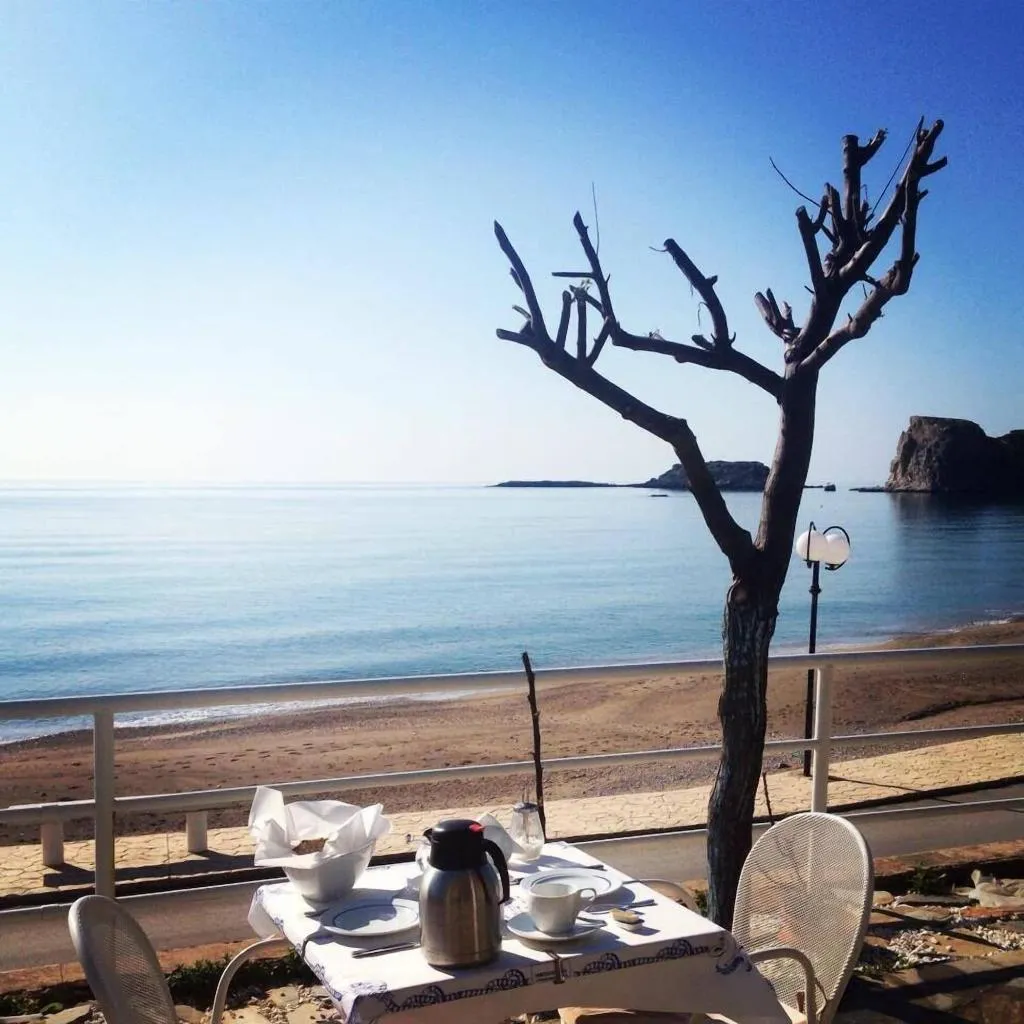 Restaurant, Delfini Beach Hotel, Rhodes