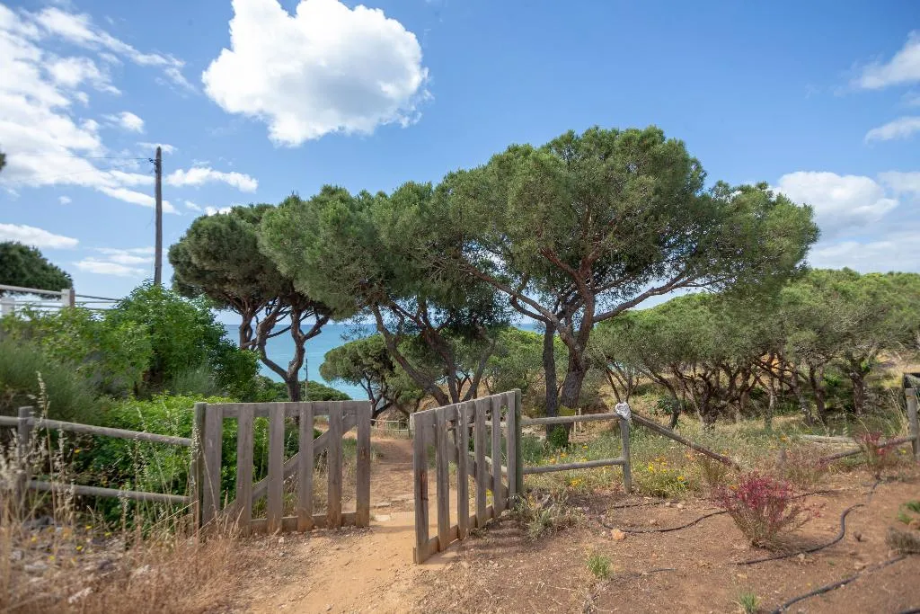 General view, Masana Algarve, Algarve