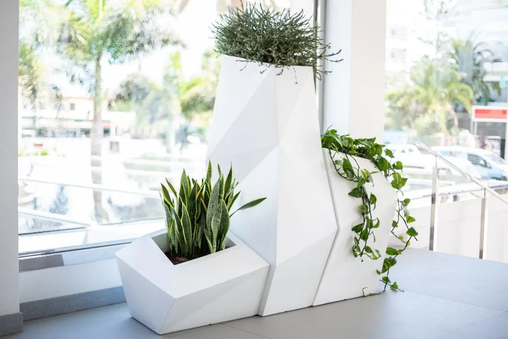 Lobby, Caserio, Gran Canaria