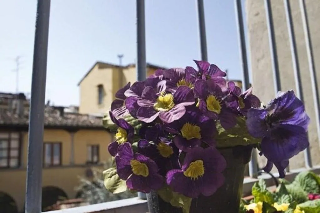General view, Hostel Santa Monaca, Florence