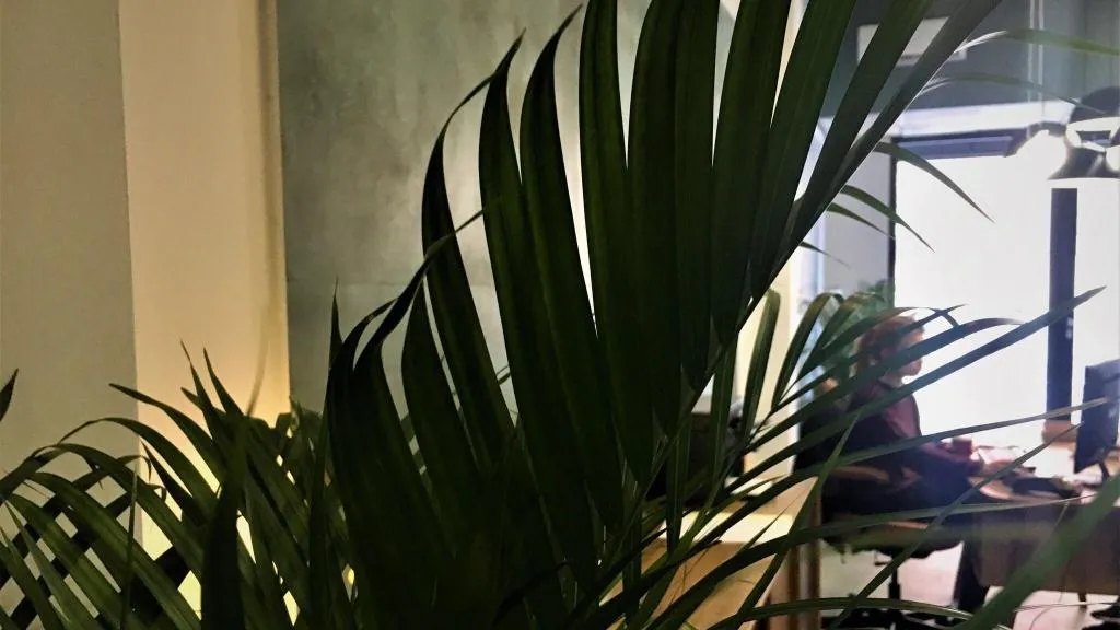 Lobby, B&B Mare de Deu Jardines del Turia, Valencia
