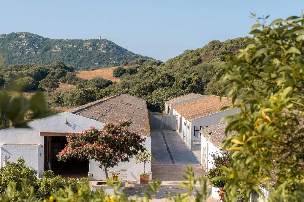 Sports and Entertainment, Hort Sant Patrici, Menorca