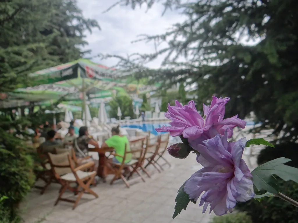 Terrace, Boomerang, Bourgas