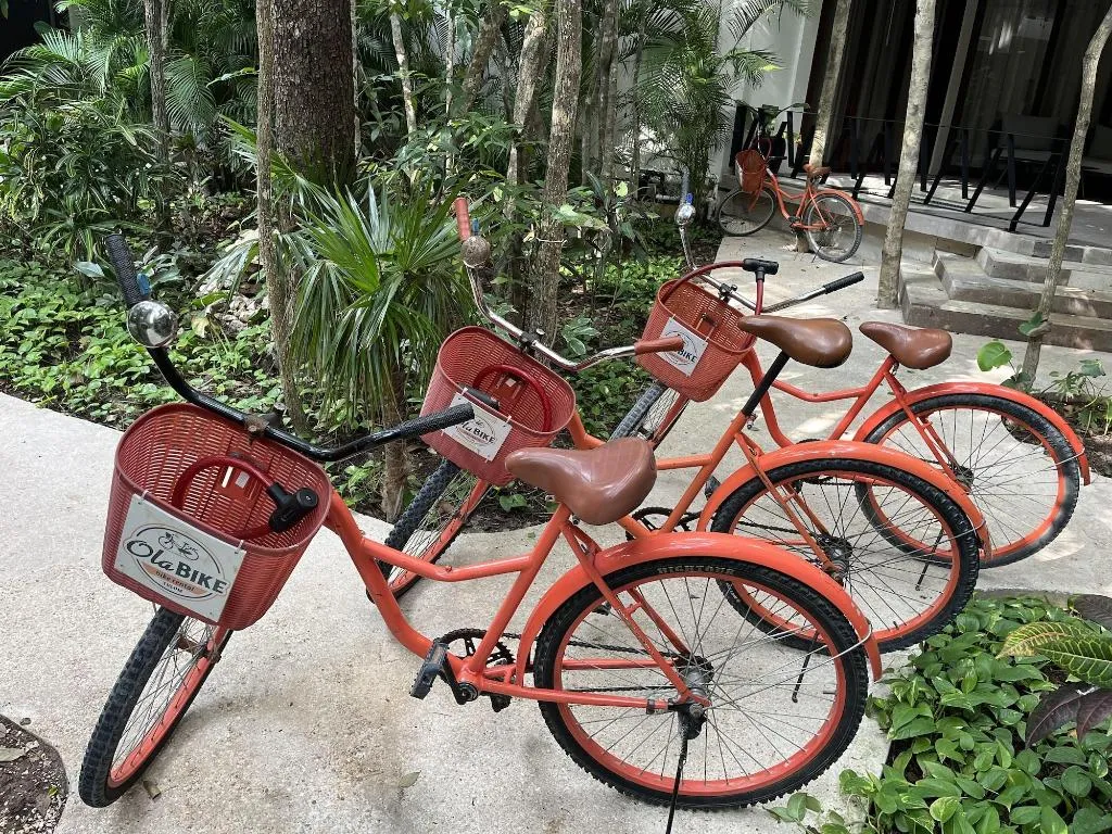 Sports and Entertainment, K'uyen Boutique Hotel, Cancun Area