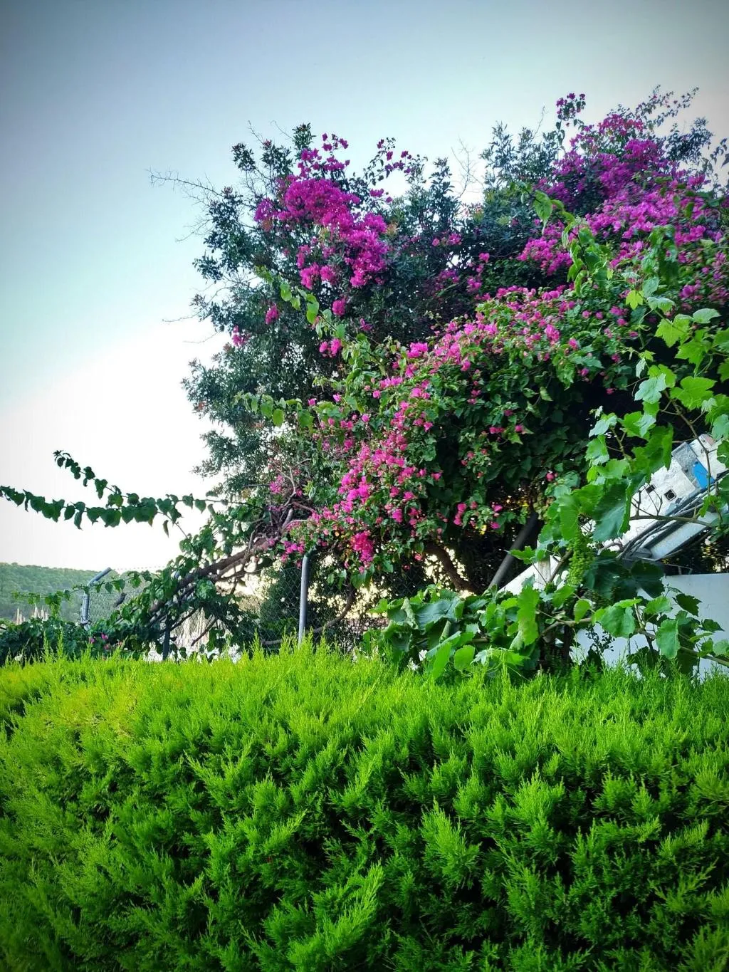 General view, Yalcin Hotel, Izmir