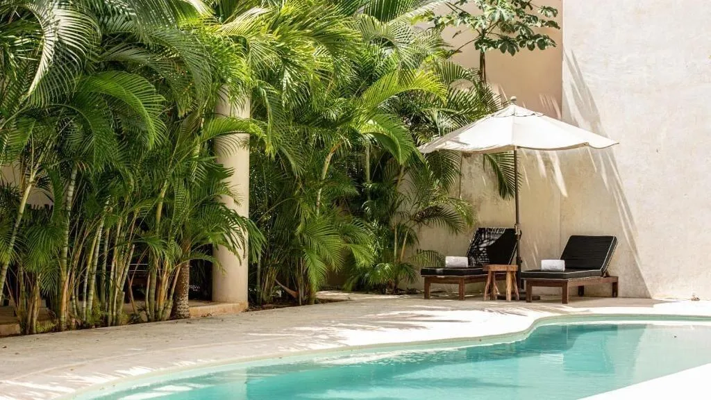 Sports and Entertainment, Niwa Tulum Luxury Suites, Cancun Area