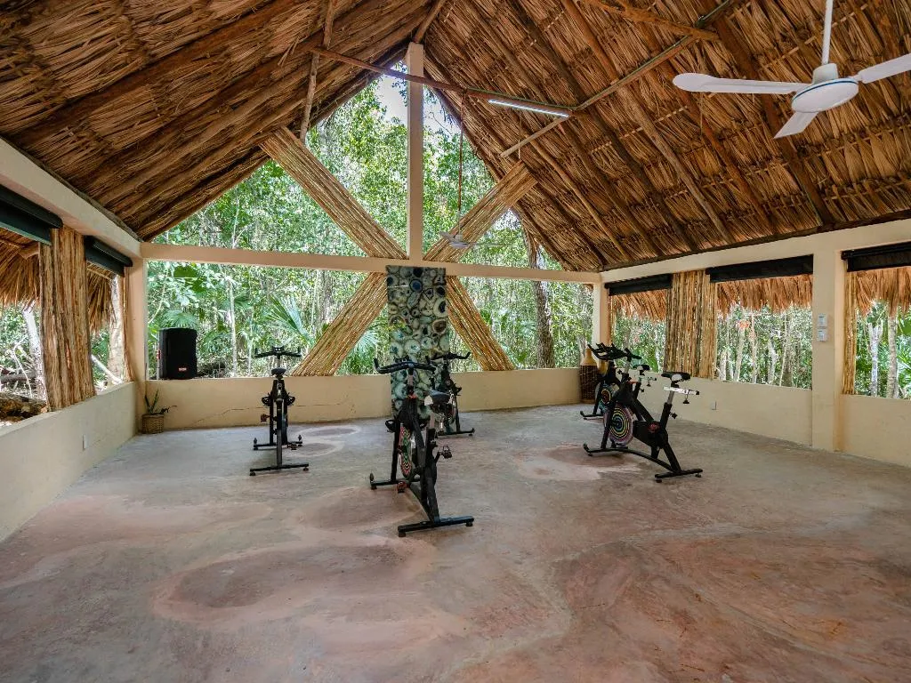 Conferences, Jolie Jungle, Cancun Area