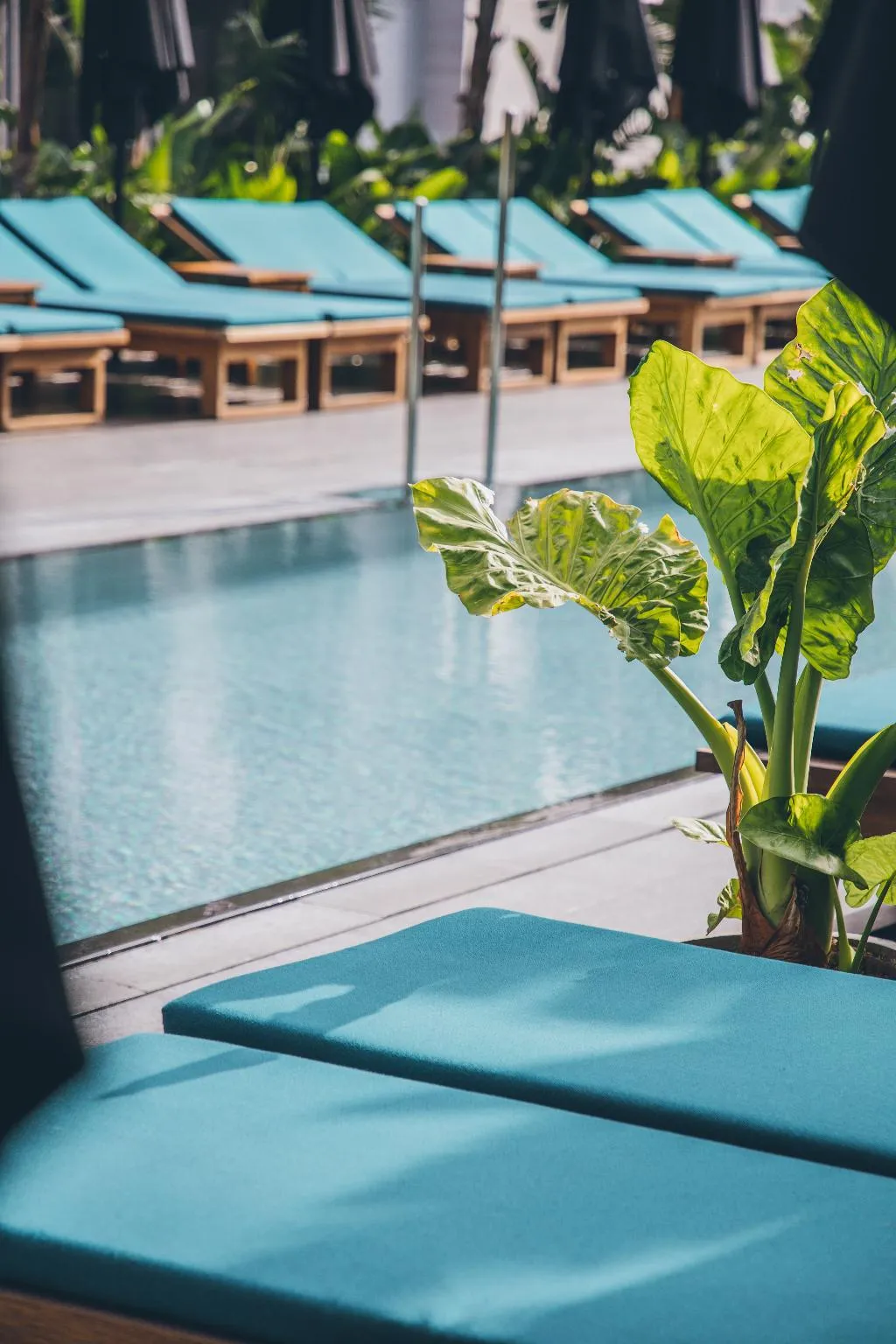 Pool, Grand Hyatt Barcelona, Barcelona