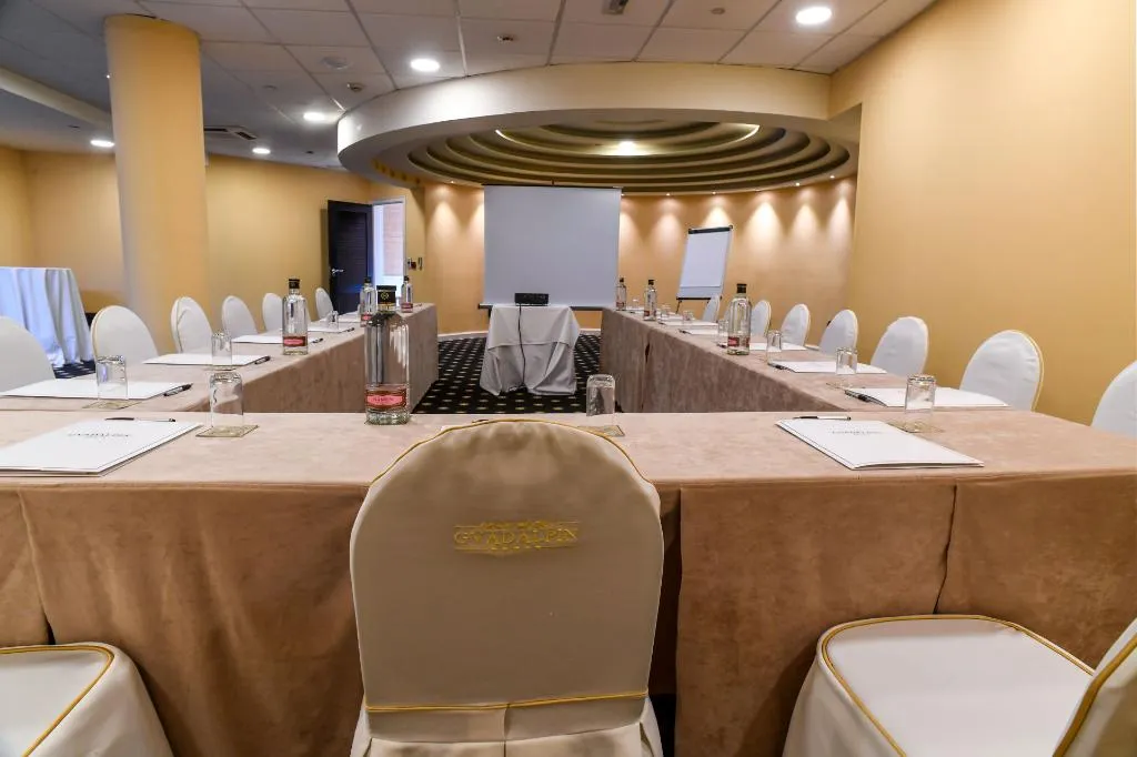 Conferences, Gran Hotel Guadalpin Banus, Costa Del Sol