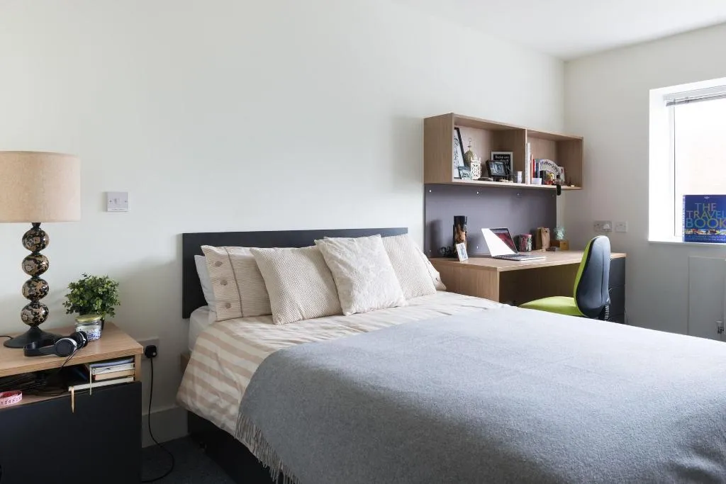 Room, The Montrose, Dublin