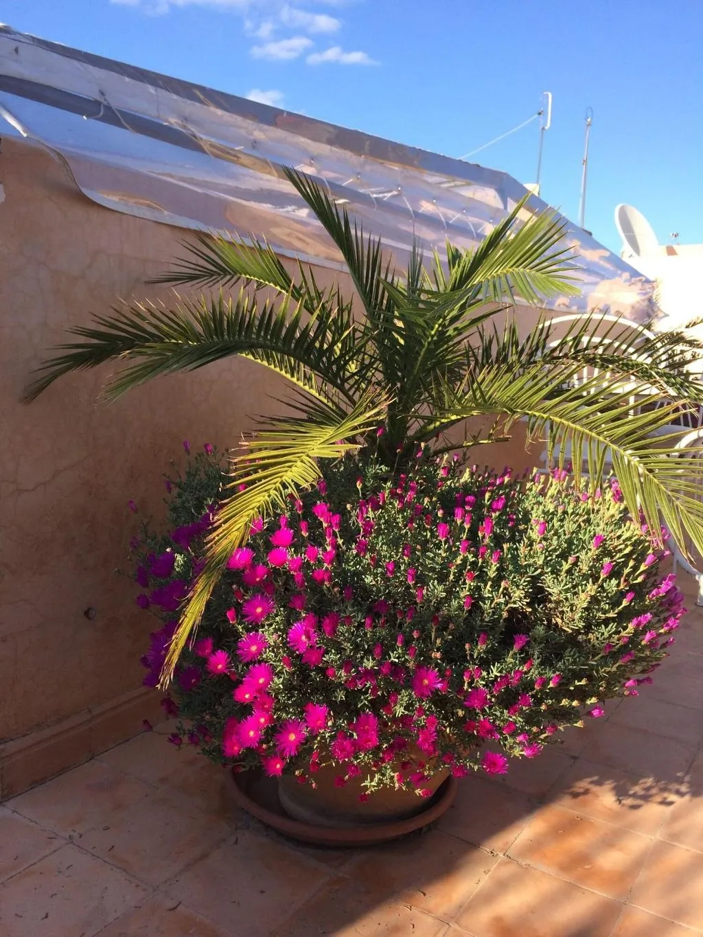 Terrace, Riad Irene, Marrakech