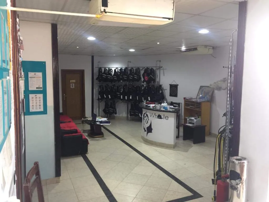 Sports and Entertainment, Dive Inn Resort, Red Sea Riviera
