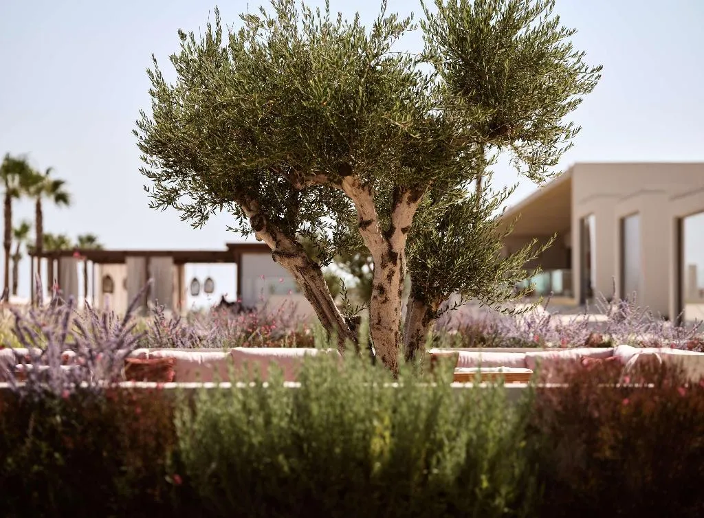 General view, The Royal Senses Resort & Spa Crete, Curio Collect, Crete
