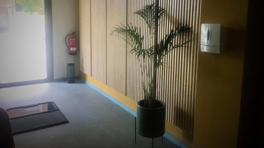 Lobby, B&B Mare de Deu Jardines del Turia, Valencia