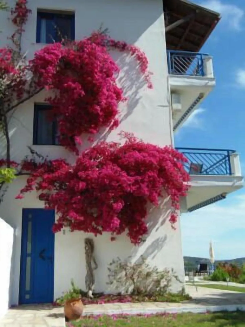 General view, Sartivista, Halkidiki