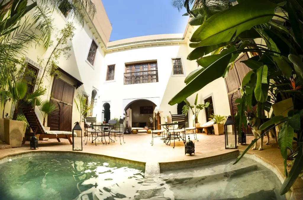Pool, Riad Les Ammonites, Marrakech