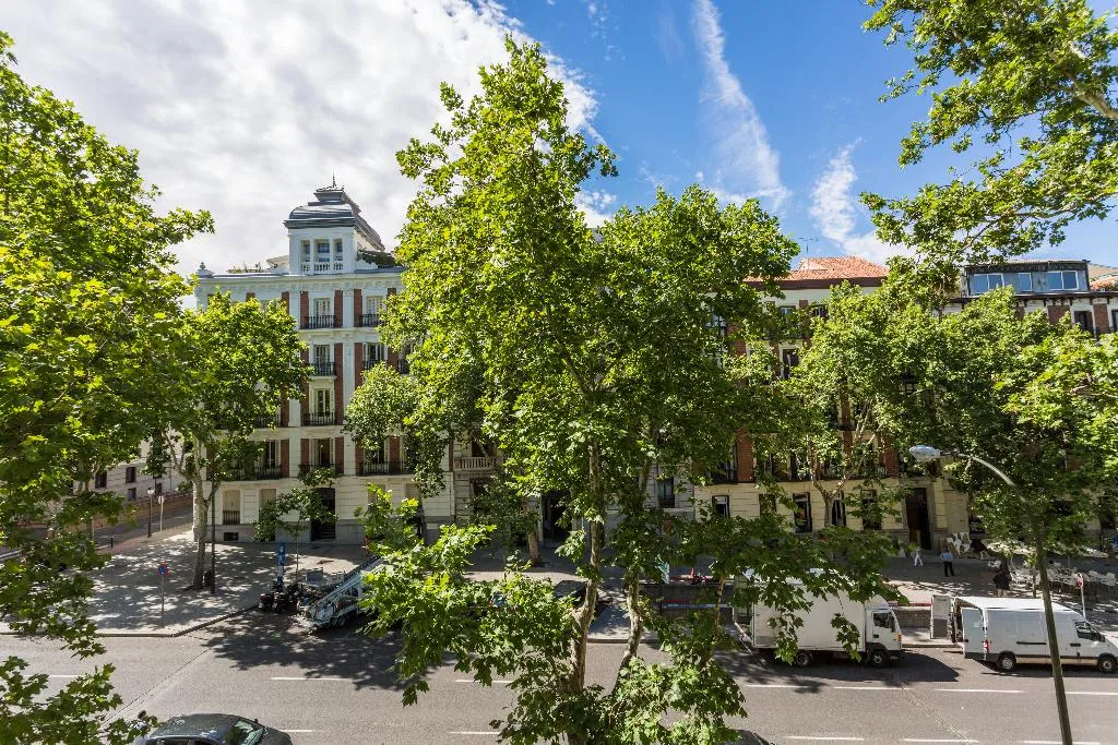 General view, Petit Palace Lealtad Plaza, Madrid