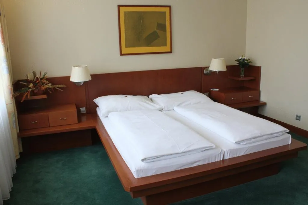 Room, Popelka Hotel, Prague