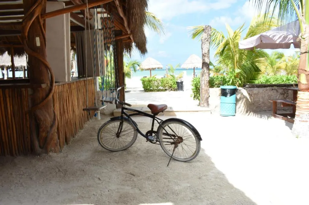 Bar, Casa Maya, Cancun Area