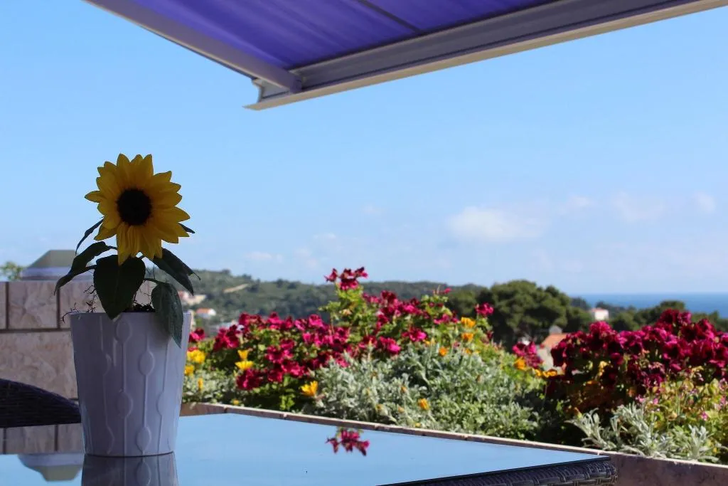 Terrace, Violeta Hvar, Split