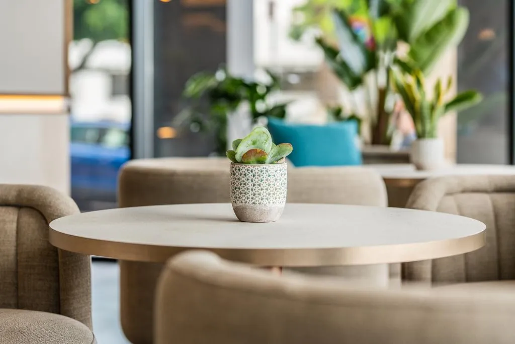 Lobby, Hotel LIVVO Lumm, Gran Canaria