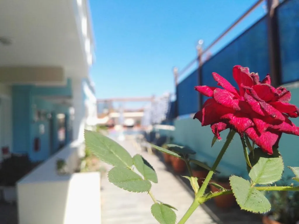 Terrace, Epis Hotel, Crete