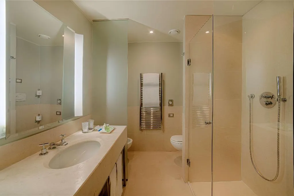 DOUBLE STANDARD Room, NH Linate, Milan