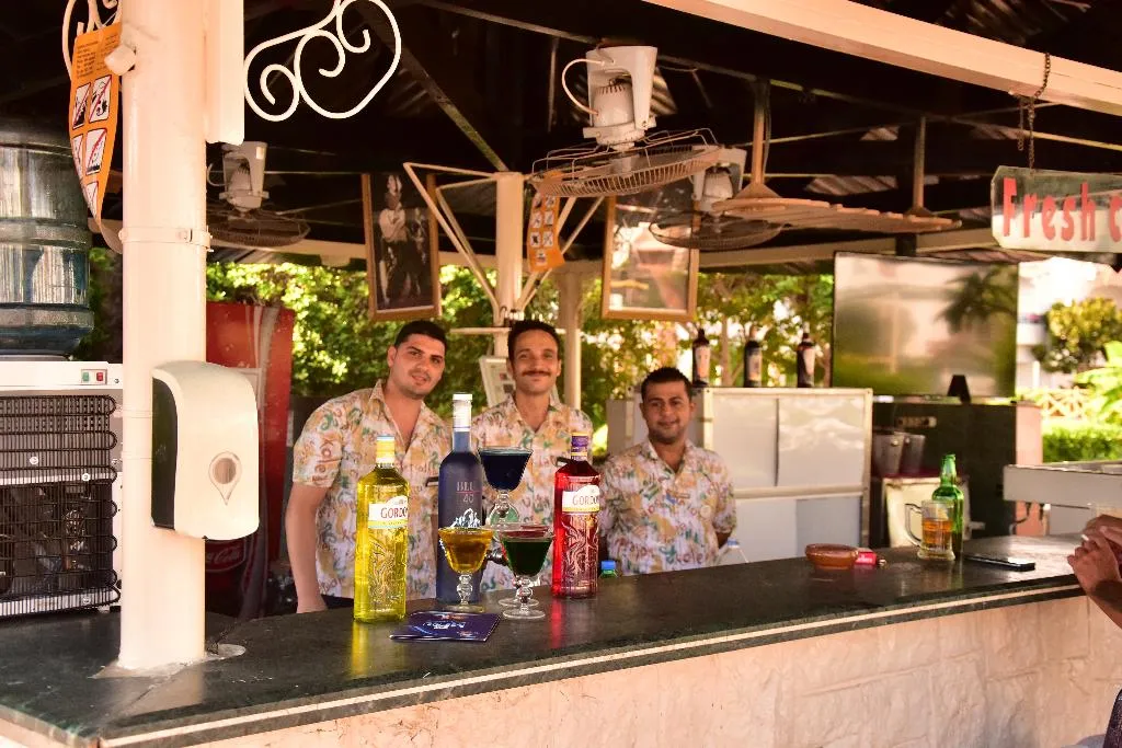Bar, Dive Inn Resort, Red Sea Riviera