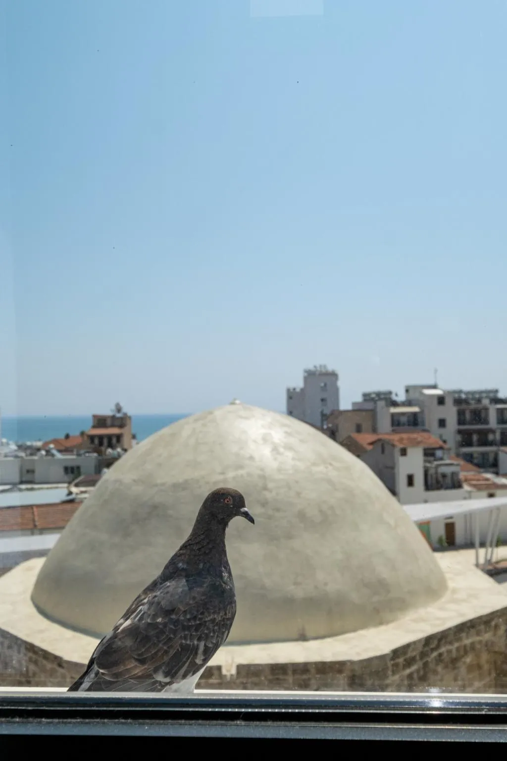 General view, Livadhiotis City Hotel, Cyprus