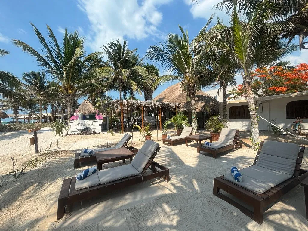 General view, La Diosa Kali Beach Front Hotel, Cancun Area