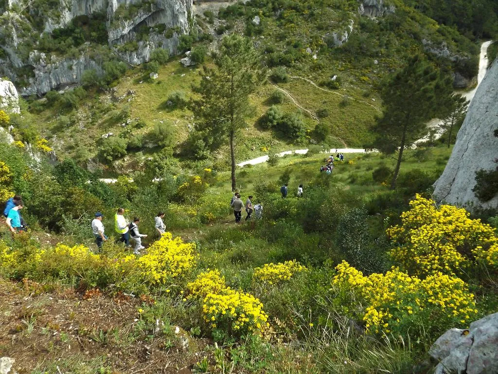 Sports and Entertainment, Casa Ceedina Bed and Breakfast, Porto
