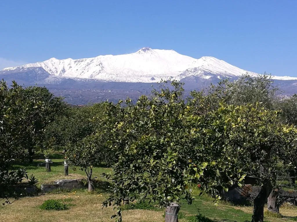 General view, Galea, Catania
