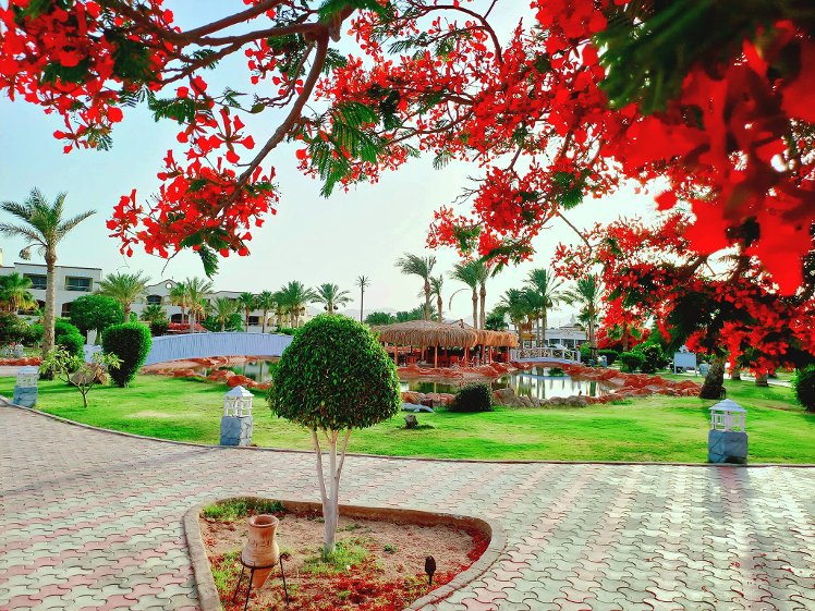 Royal Regency Club*****, Red Sea Riviera