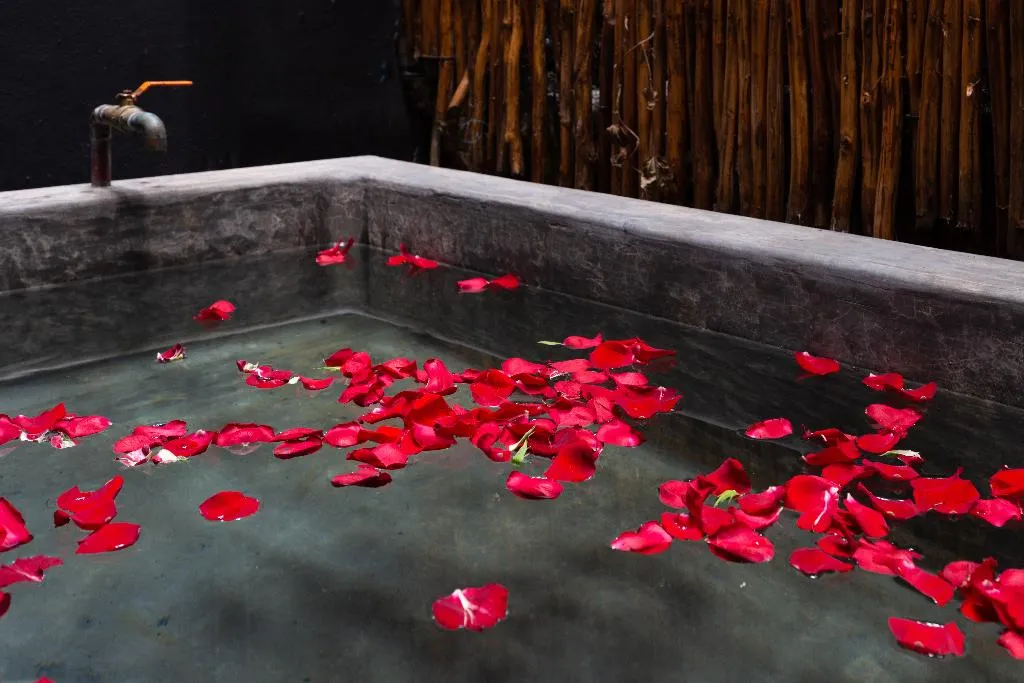 SUITE SUPERIOR WITH PRIVATE POOL Room, Aroma Tulum, Cancun Area