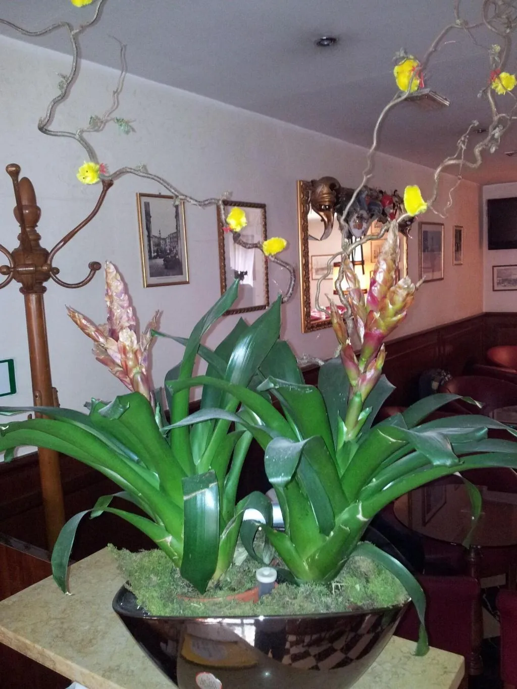Lobby, Regit, Venice