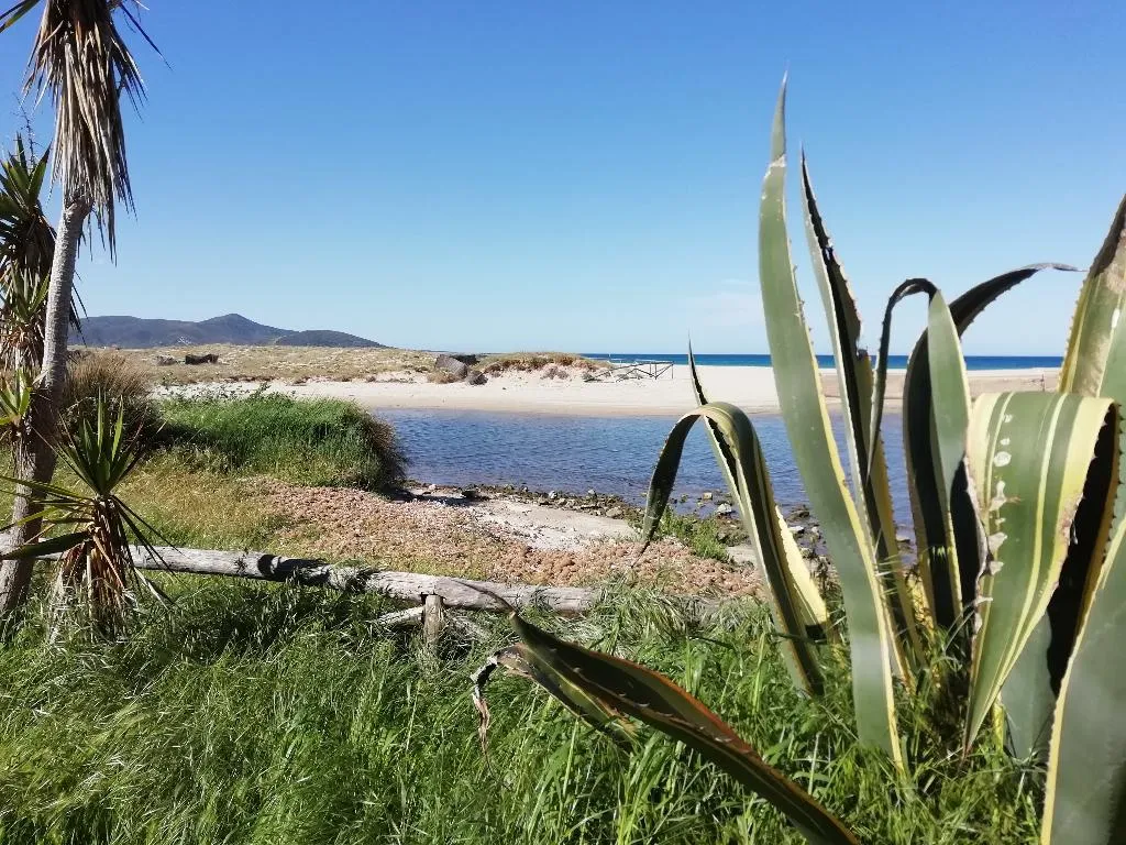 Beach, Hotel Velasole, Olbia