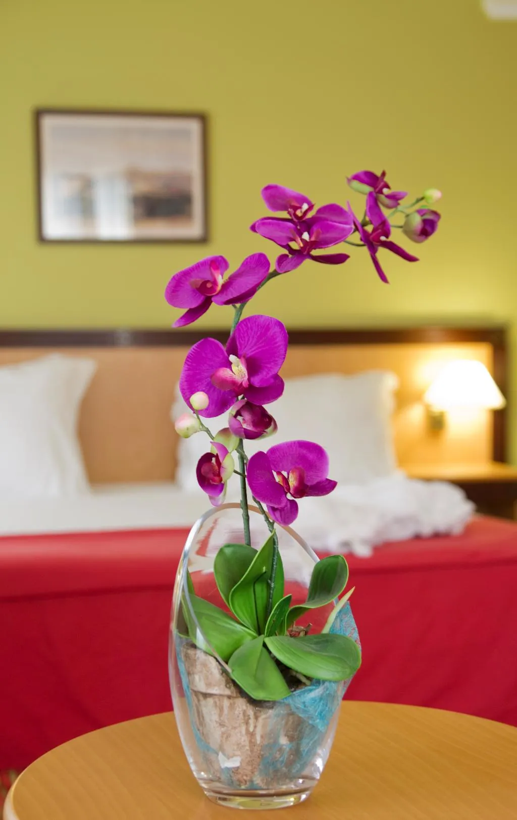 TWIN GARDEN VIEW Room, Quinta Bela Sao Tiago, Madeira