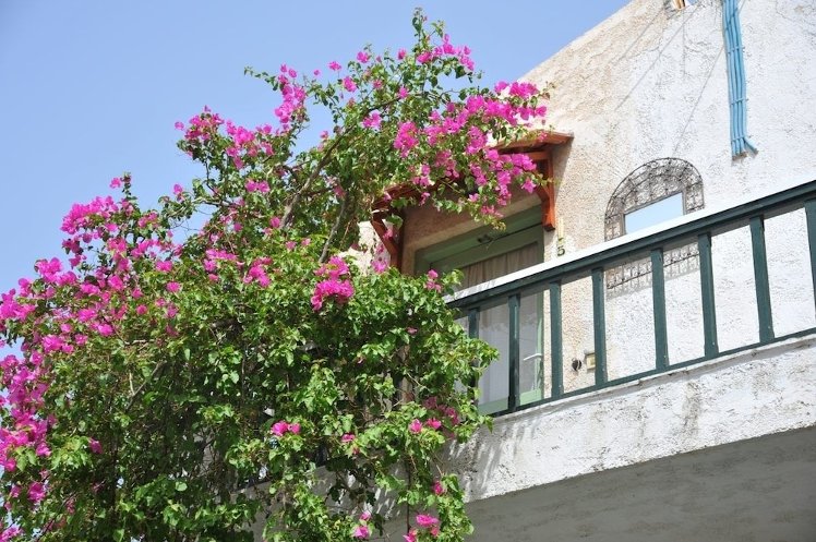 Elounda Colour Apartments, Crete