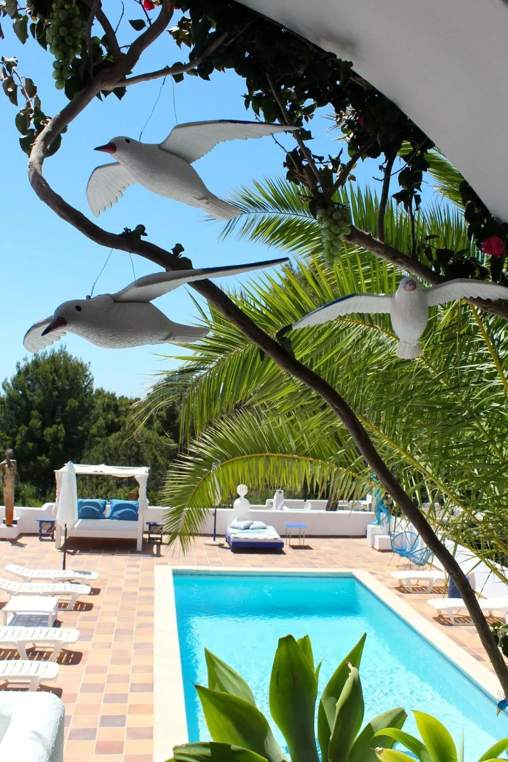 Terrace, Casa Datscha, Ibiza
