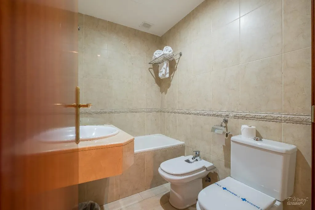 Double or Twin STANDARD Room, Hotel Vivar, Madrid
