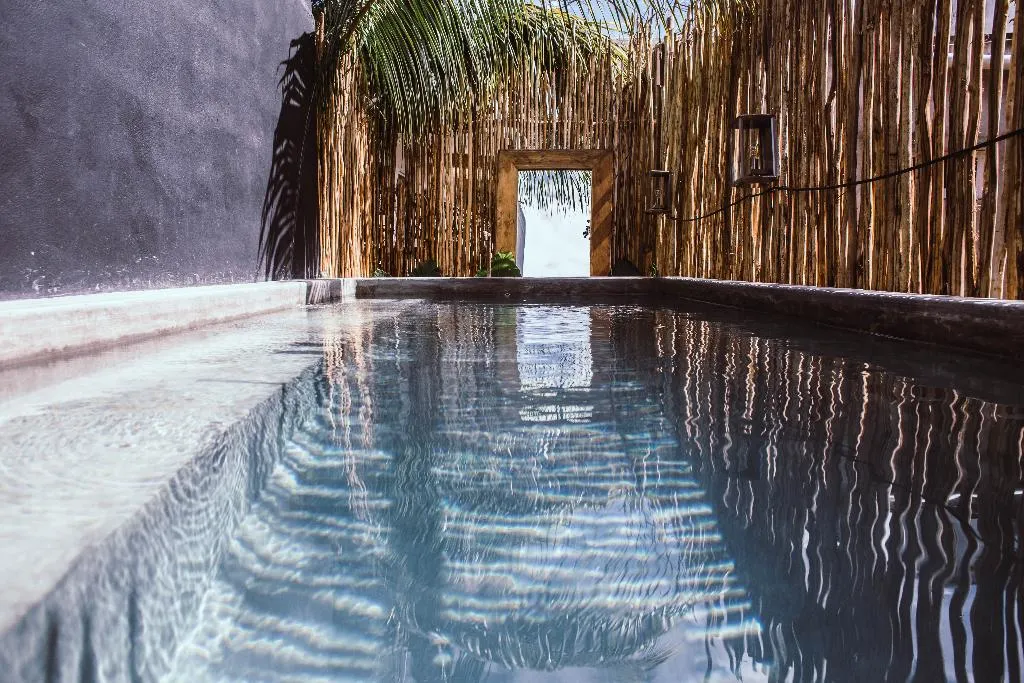 Pool, Aroma Tulum, Cancun Area